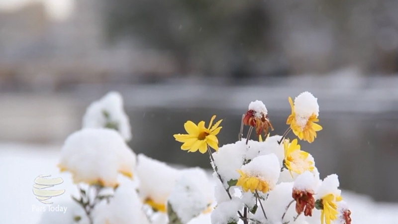 ایران پرس: بارش نخستین برف پاییزی در شهر اردبیل