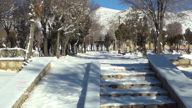 Iranpress: بارش برف زمستانی در سراسر کشور