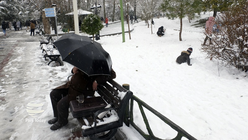 Iranpress: تصاویر: شوق برف زمستانی در خیابان‌های تهران