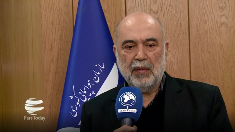 Iranpress: ادعای سیاستمداران آمریکایی درباره سقوط هواپیمای اوکراینی جایگاه علمی ندارد