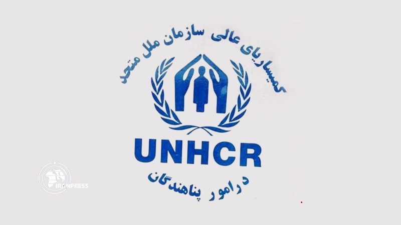 Iranpress: سازمان ملل تایید کرد: ایران پیشتاز ارائه بیمه درمانی به مهاجران افغان