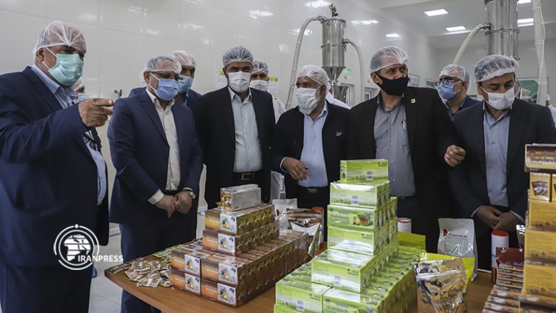 ایران پرس:  راه‌اندازی خط تولید شکرستان فارابی در قطب تولید شکر کشور