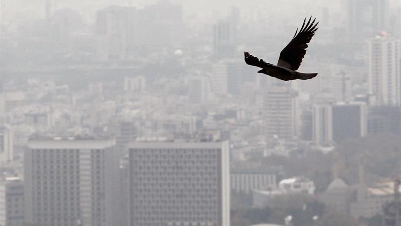 Iranpress: آلودگی هوا تهران ادامه دارد