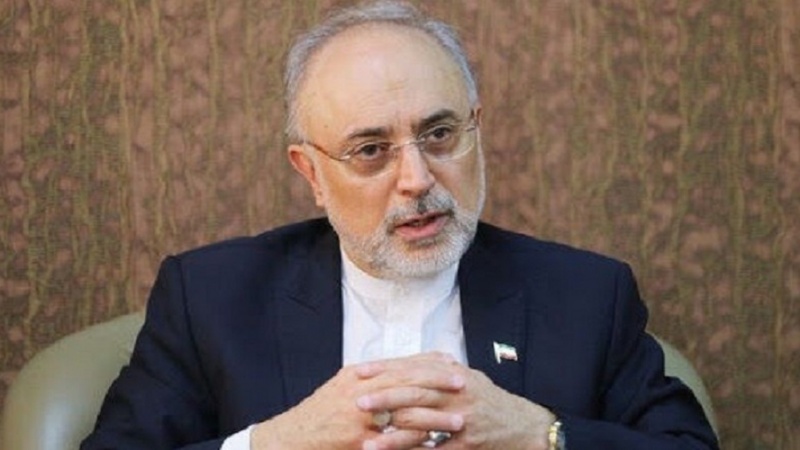Iranpress: نشست فوق‌العاده کمسیون امنیت ملی مجلس با حضور علی اکبر صالحی