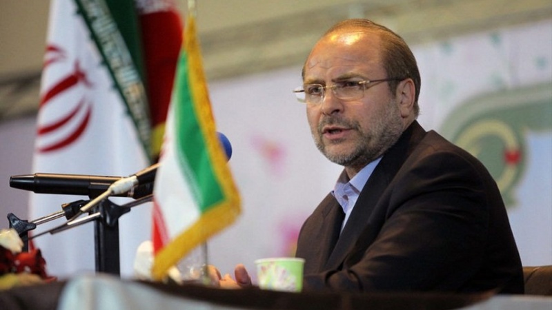 Iranpress: رئیس مجلس: اگر دشمن حرف منطقی را قبول نکرد در مقابلش می ایستیم