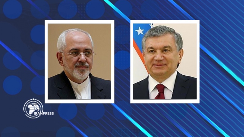 Iranpress: توسعه مناسبات، محور رایزنی ظریف با رئیس جمهوری ازبکستان