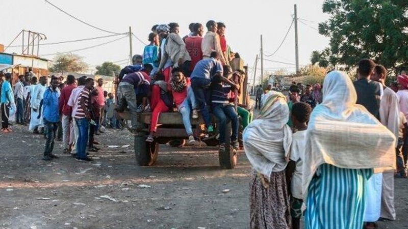 Iranpress: فرار 3 هزار اتیوپیایی از جنگ در تیگرای به سودان