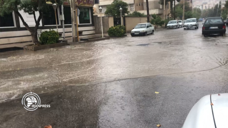 Iranpress: بارش زیبای باران در اوج گرمای تابستان در شیراز 