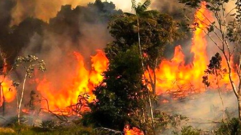 Iranpress: آتش جنگل‌های ارتفاعات زاگرس مهار شد