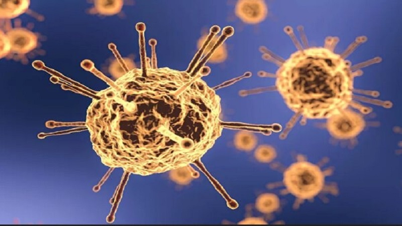 Iranpress: انتشار گزارش جامعه اطلاعاتی آمریکا درباره منشا ویروس کرونا