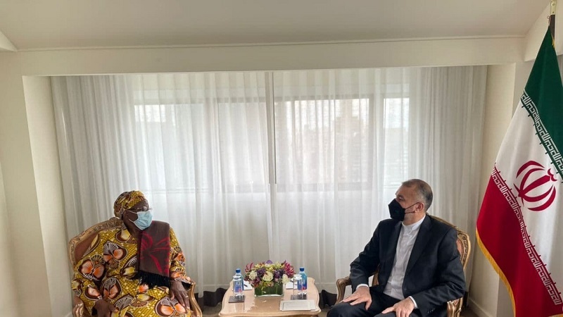 Iranpress: دعوت امیرعبداللهیان از وزیر امور خارجه نامیبیا برای سفر به ایران