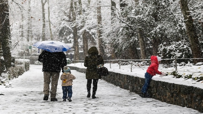 Iranpress: تداوم بارش برف و باران در سراسر کشور
