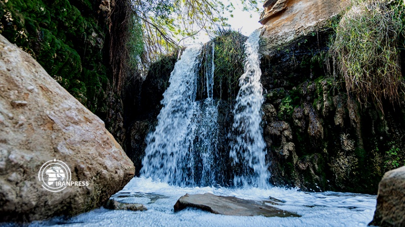 Iranpress:  آبشار زیرراه؛ نگین سرسبز دشتستان در فصل زمستان  