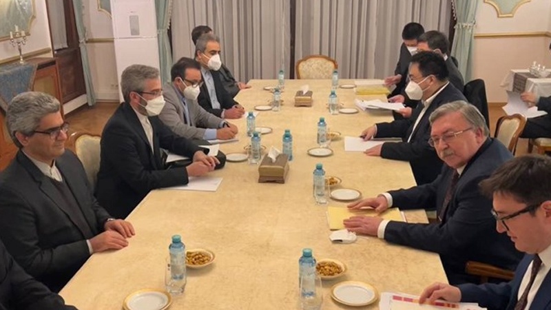 Iranpress: نشست باقری با مذاکره کنندگان روسیه و چین در وین
