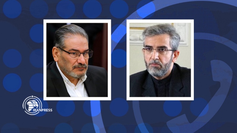Iranpress: توئیت شمخانی درباره گفت‌وگوی تلفنی با علی باقری