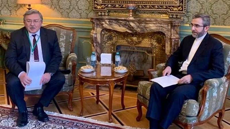 Iranpress: اتفاق نظر دیپلمات روس با اظهارات «علی باقری»