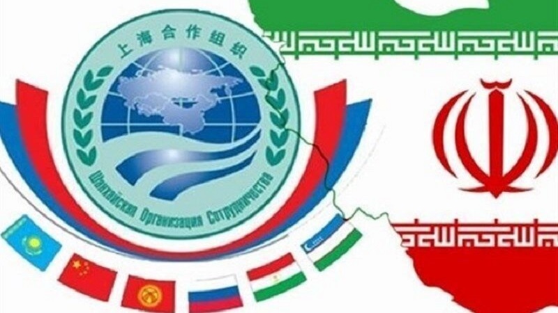 Iranpress: افزایش تعاملات تجاری ایران با اعضای سازمان همکاری شانگهای