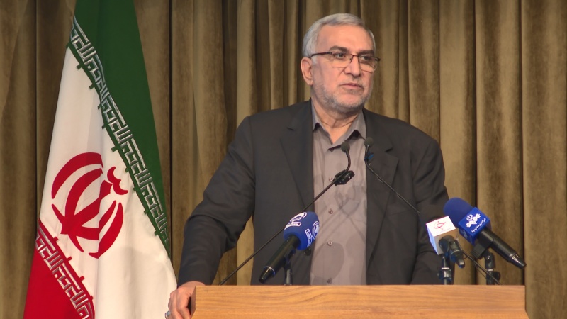 Iranpress: اخبار خوب وزیر بهداشت درباره بیمه سلامت همگانی در ایران