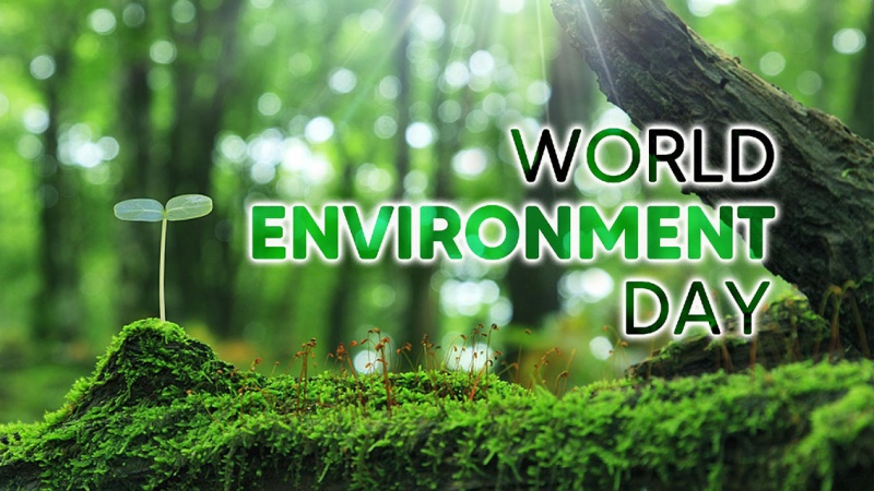 Iranpress: «فقط یک زمین»؛ به مناسبت روز جهانی محیط زیست