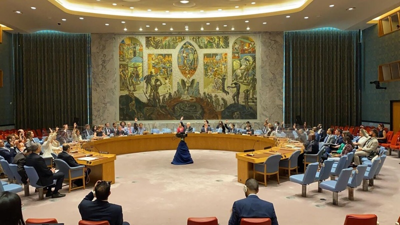Iranpress: تمدید ماموریت نیروهای حافظ صلح سازمان ملل در قبرس از سوی شورای امنیت