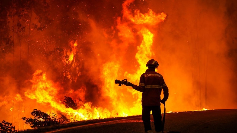 Iranpress: اتحادیه اروپا: سال 2022 رکورد آتش‌سوزی در جنوب غربی اروپا زده شد