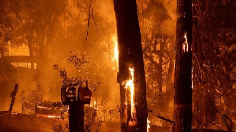 Iranpress: کمک آتش‌نشانان اروپا برای مهار آتش‌سوزی‌های گسترده در فرانسه