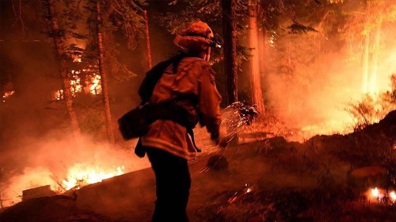 Iranpress: اعلام وضعیت اضطراری در کالیفرنیا به دنبال آتش سوزی در جنگل ملی کلاماث