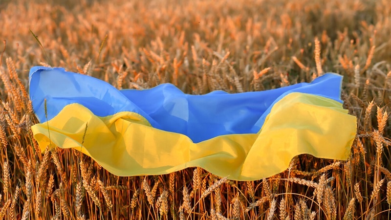 Iranpress: مسکو: غلات اوکراین به جای آفریقا به اروپا می رود 