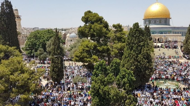 Iranpress: حضور پرشور مردم فلسطین در نماز جمعه مسجدالاقصی