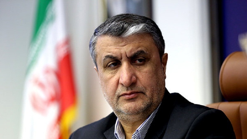 Iranpress: دستیابی ایران به بمب اتم کذب است/ برای آژانس متاسفیم