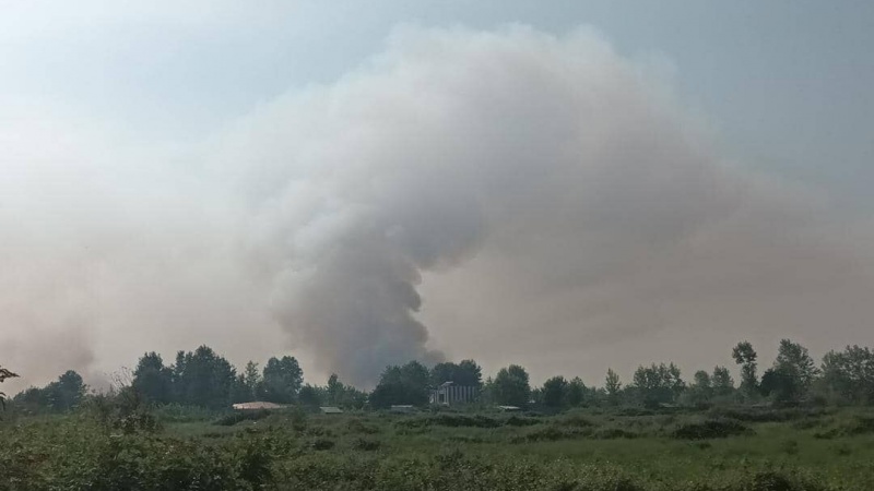 Iranpress: تالاب انزلی در میان شعله‌های آتش، وسعت حریق به 40 هکتار رسید