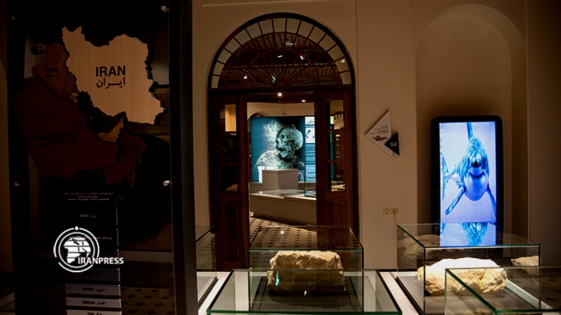 Iranpress:  موزه خلیج‌فارس؛ نمایش تاریخ و تمدن ایران‌زمین