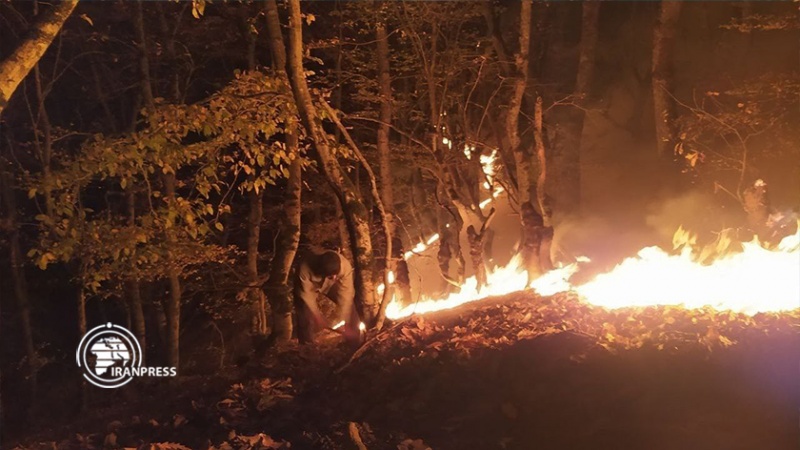 Iranpress:  ادامه آتش‌سوزی جنگل‌های رستم‌آباد گیلان 