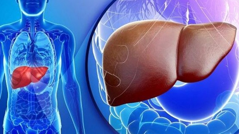 Iranpress: محققان کشورمان اولین بار به روش نوین درمان سرطان کبد دست یافتند