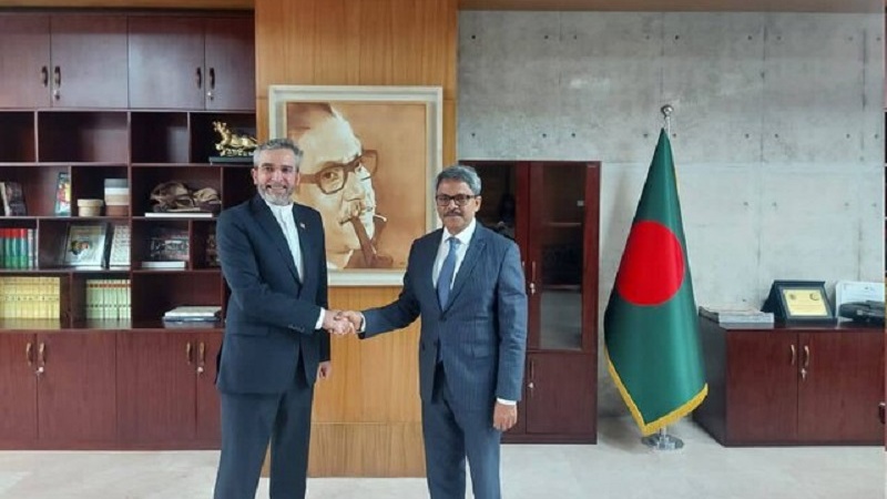 Iranpress: باقری بر همکاری‌های مشترک با بنگلادش در مجامع بین‌المللی و منطقه‌ای تاکید کرد