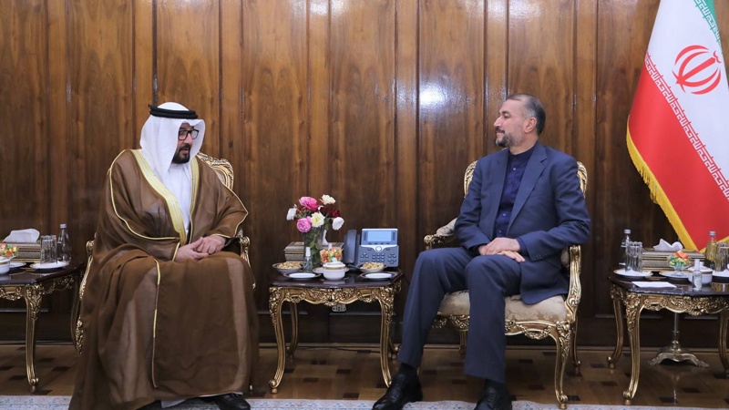 Iranpress: دیدار سفیر امارات متحده عربی با امیرعبداللهیان