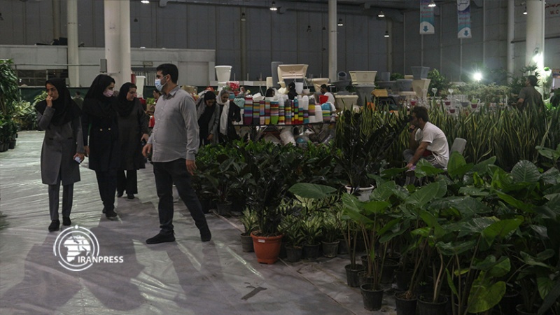 Iranpress:  تصاویری از دومین نمایشگاه گل و گیاه در جزیره زیبا و گردشگری کیش