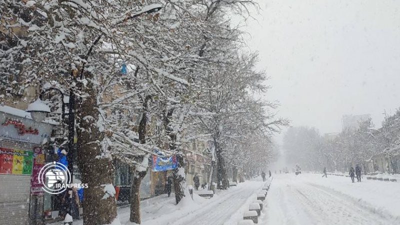 Iranpress:  چشم‌انداز زیبای بارش شدید برف در همدان
