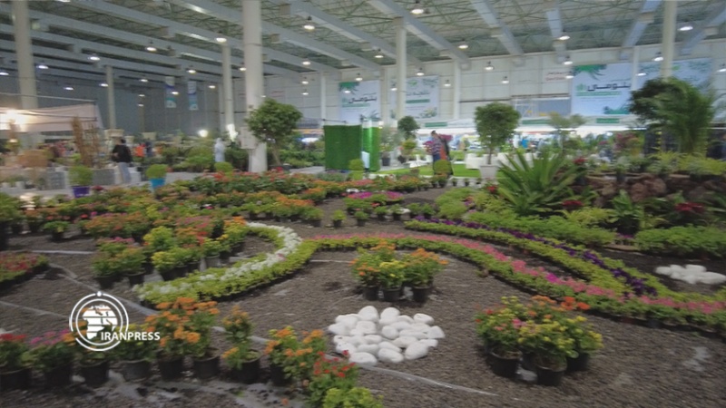 Iranpress:  استقبال گردشگران از نمایشگاه گل و گیاه کیش 