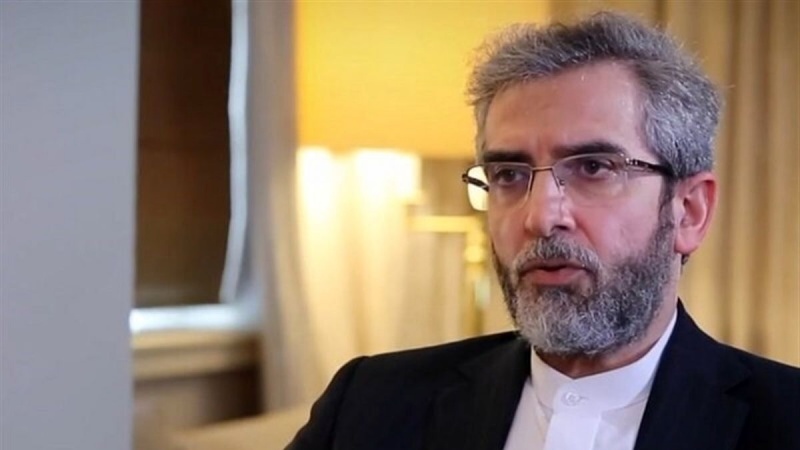 Iranpress: دعوت باقری کنی از معاون وزیر خارجه هلند برای سفر به ایران 