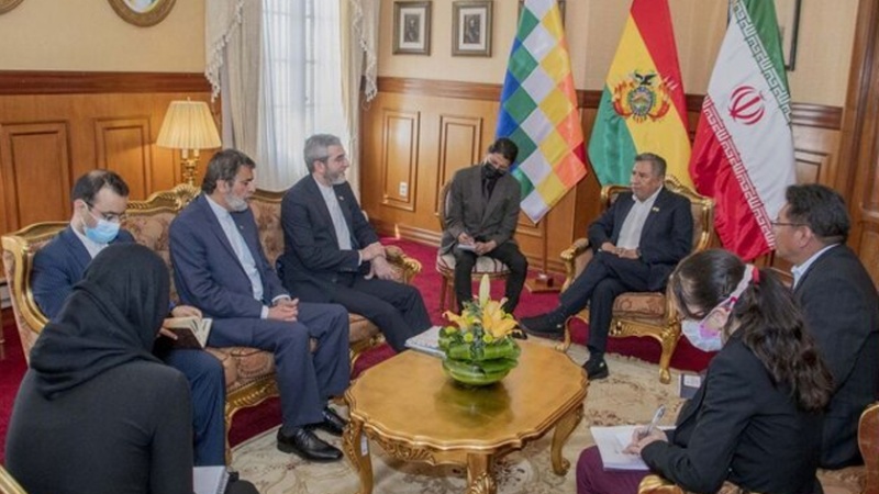 Iranpress: دیدار و رایزنی‌ های باقری کنی با مقامات بولیوی