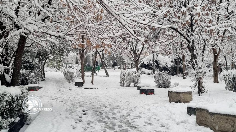 Iranpress: بارش زیبای برف؛ تهران و البرز سفیدپوش شد  