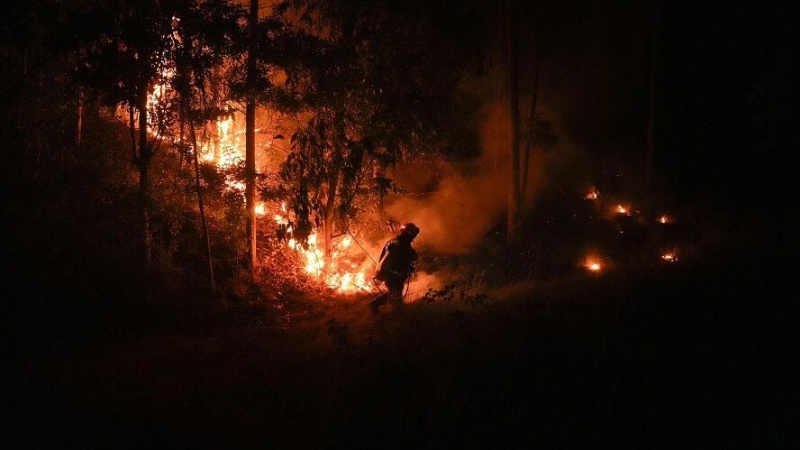 Iranpress: جنگل‌‌های شیلی طعمه حریق‌های آتش