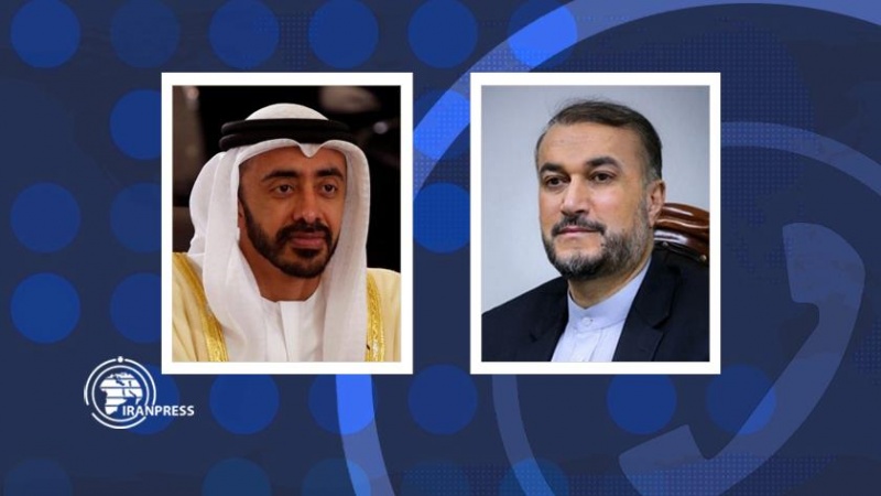 Iranpress: وزیر خارجه امارات: تحول در روابط عربستان و ایران به سود منطقه است
