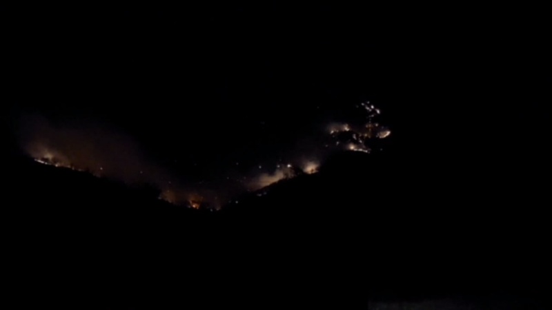 Iranpress: ببینید؛ آتش در گلستان