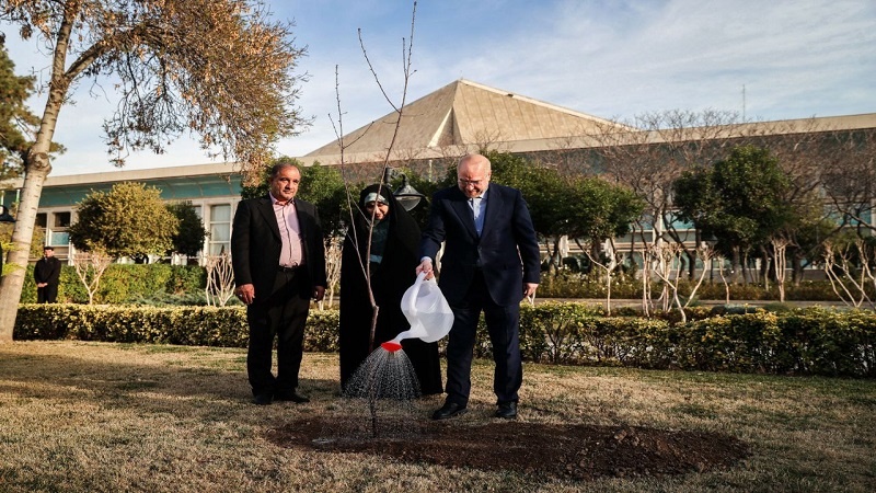 Iranpress:  قالیباف: روز درختکاری، یادآور مسئولیت‌پذیری در حفظ محیط زیست است