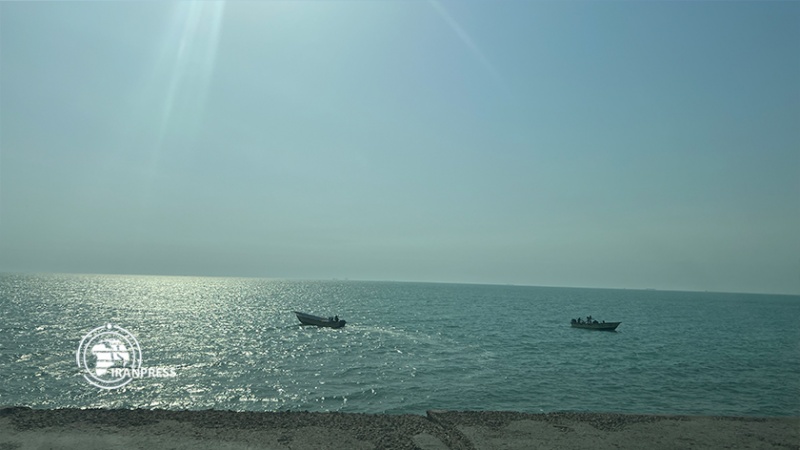 Iranpress: چشم‌انداز زیبا و بهاری سواحل بوشهر