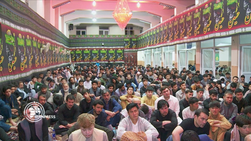 Iranpress: مراسم شب قدر در افغانستان با حضور گسترده جوانان