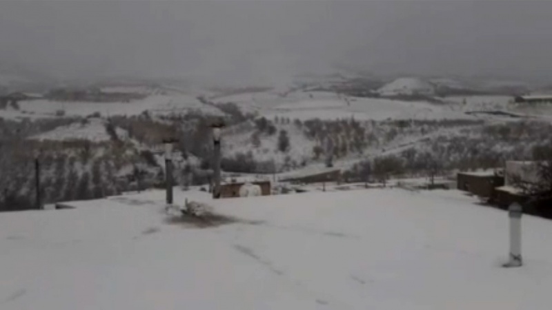 Iranpress: ببینید: بارش برف بهاری در روستا‌های بخش دینور شهرستان صحنه