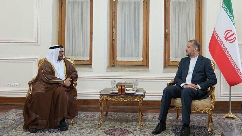 Iranpress: دیدار امیرعبداللهیان با وزیر مشاور دولت امارات